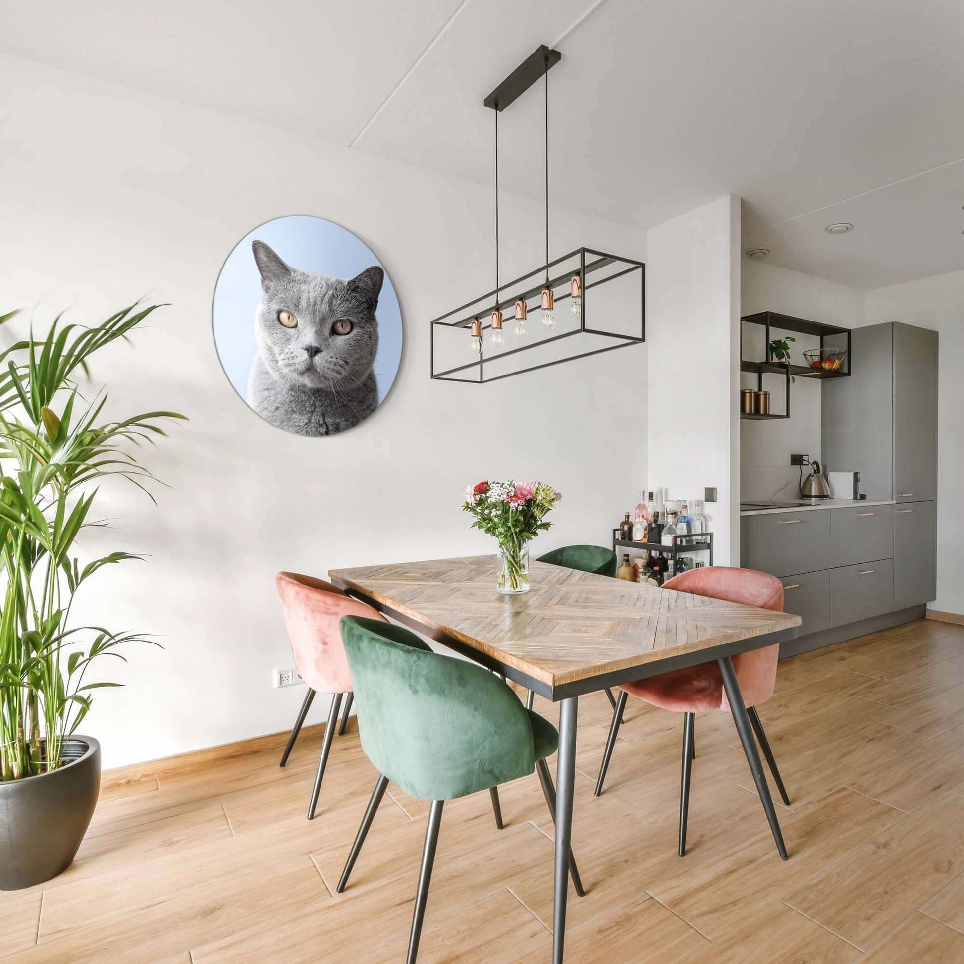 Misty Mood - Wandbild einer grauen Katze auf einem weichen blauen Hintergrund in einem Interieur.