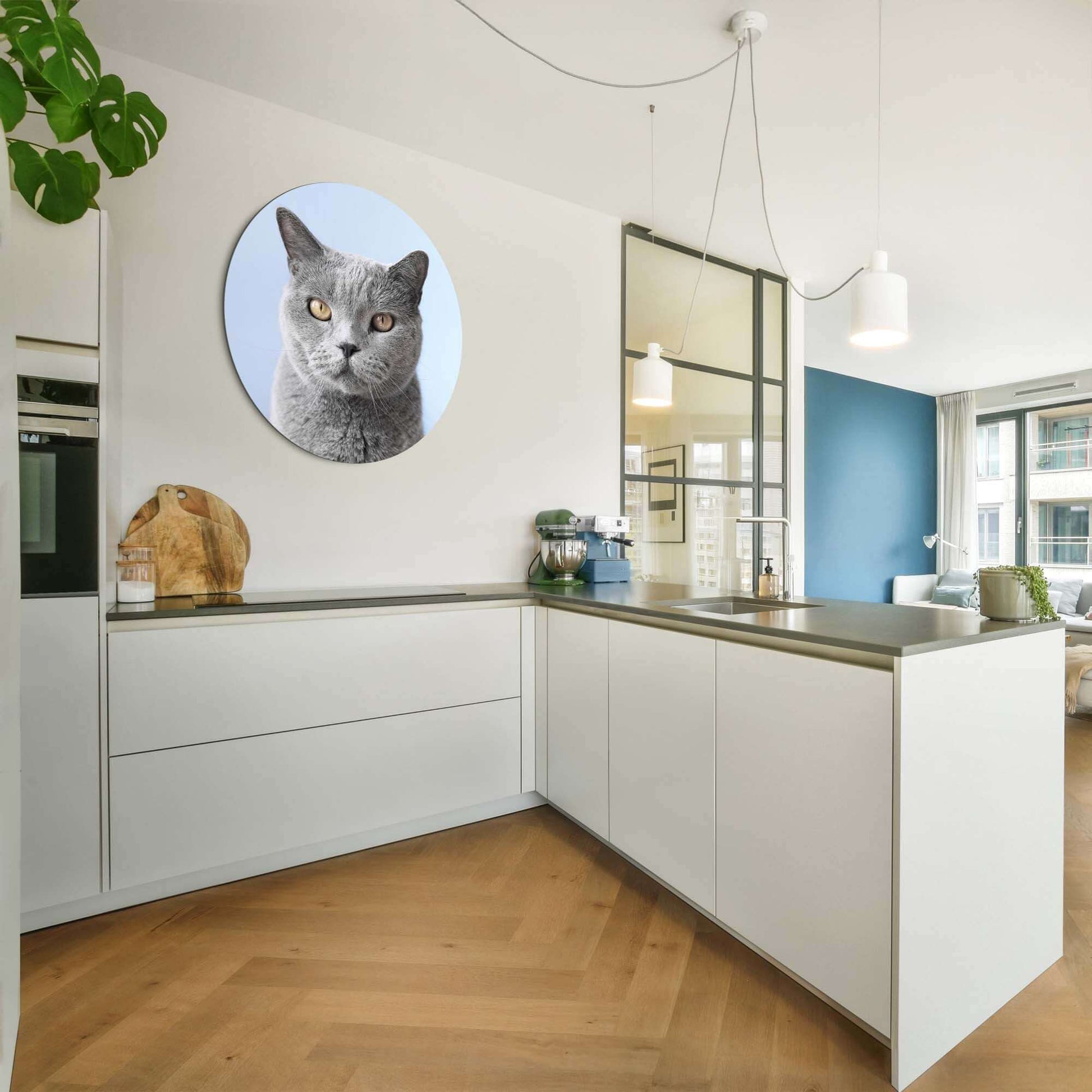 Misty Mood - Wandbild mit einer grauen Katze auf blauem Hintergrund in einer modernen Küche.