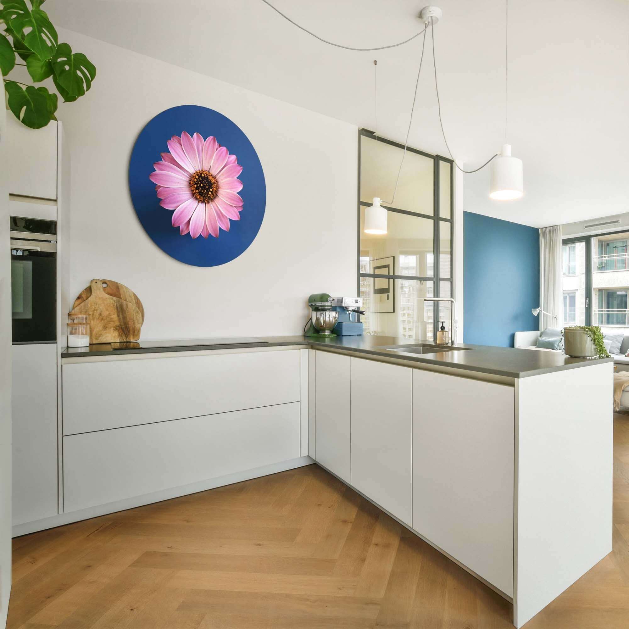 Pastellfarbenes Gänseblümchen - Wandbild auf einem weißen Küchenschrank mit blauem Hintergrund, perfekter Wandbild für die Dekoration.