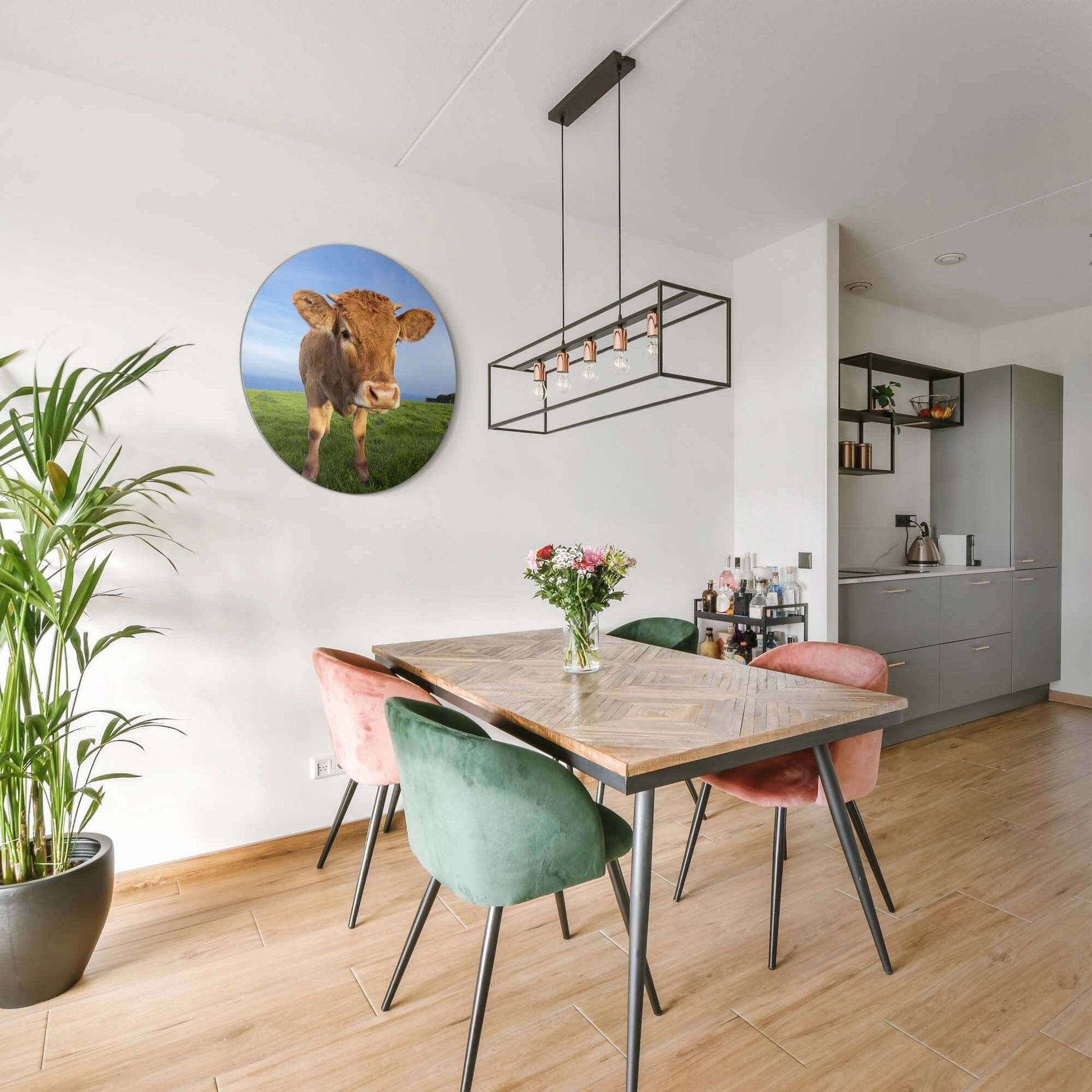 Kalb auf der Weide - Wandbild in moderner Küche, dekorativer und ländlicher Akzent, Wandbild aus hochwertigem Aluminium-Dibond mit Kalb auf der Weide.