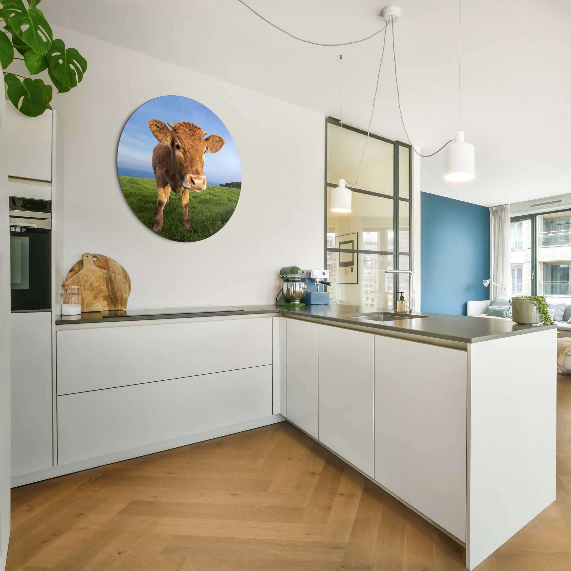 Kalb auf der Wiese - Wandbild in moderner Küche, Wandbild mit Kalb auf der Wiese für Ruhe und ländliche Atmosphäre, Premium Aluminium Dibond.