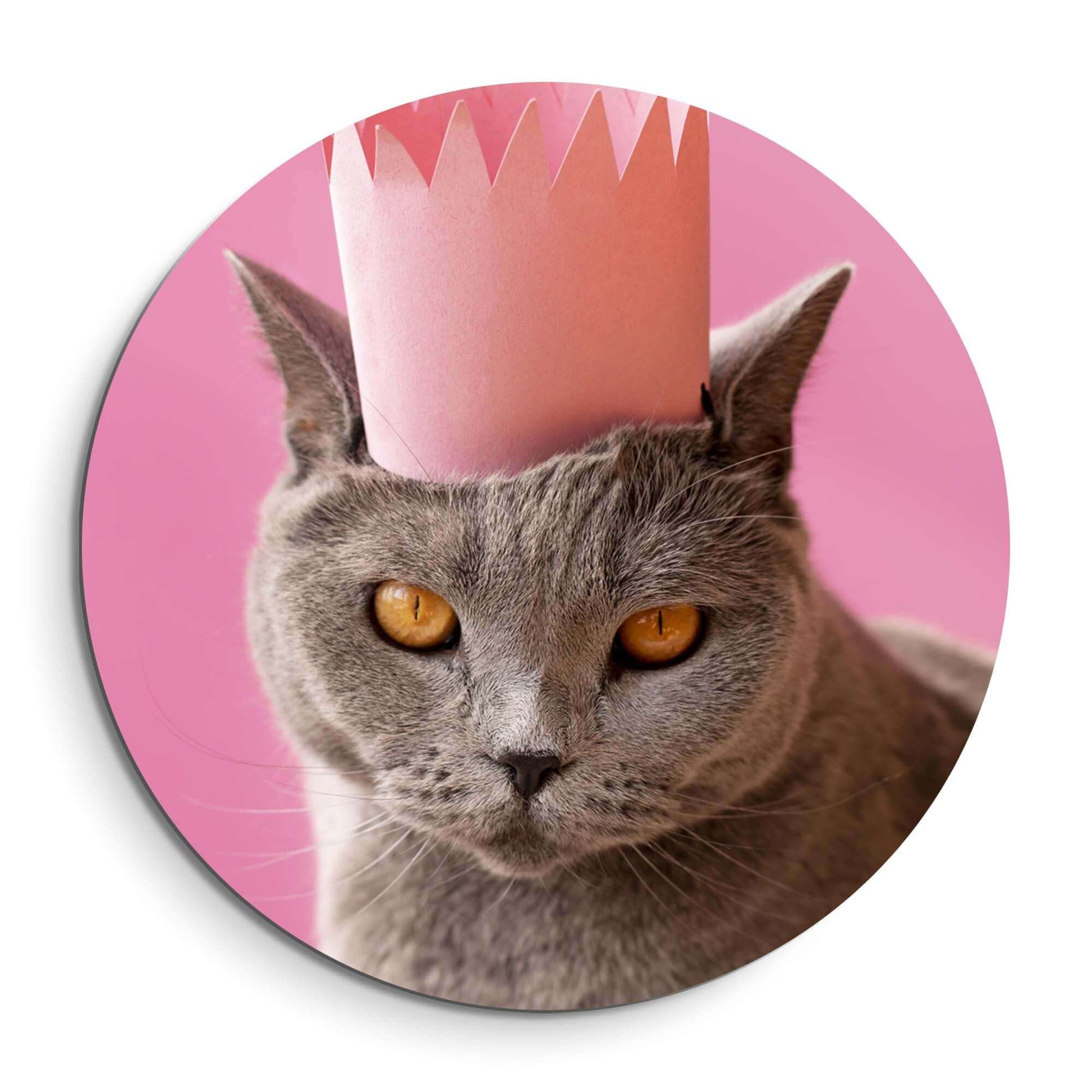 Regal Whiskers - Wandbild mit grauer Katze und rosa Krone, stilvoller Wandbild für jede Einrichtung.