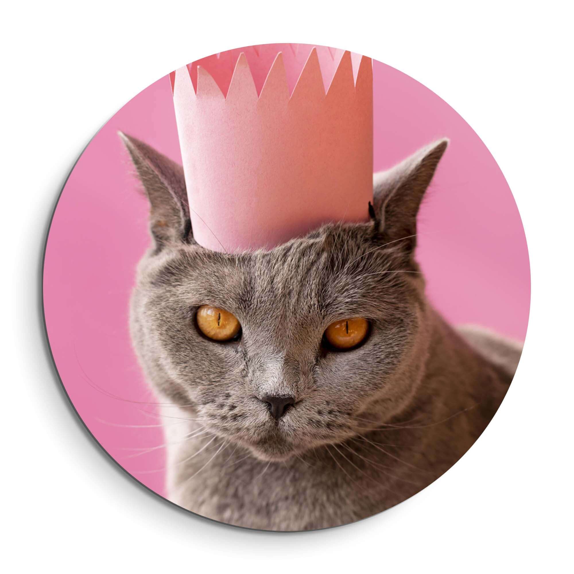 Regal Whiskers - Wandbild mit grauer Katze und rosa Krone, stilvoller Wandbild für jede Einrichtung.