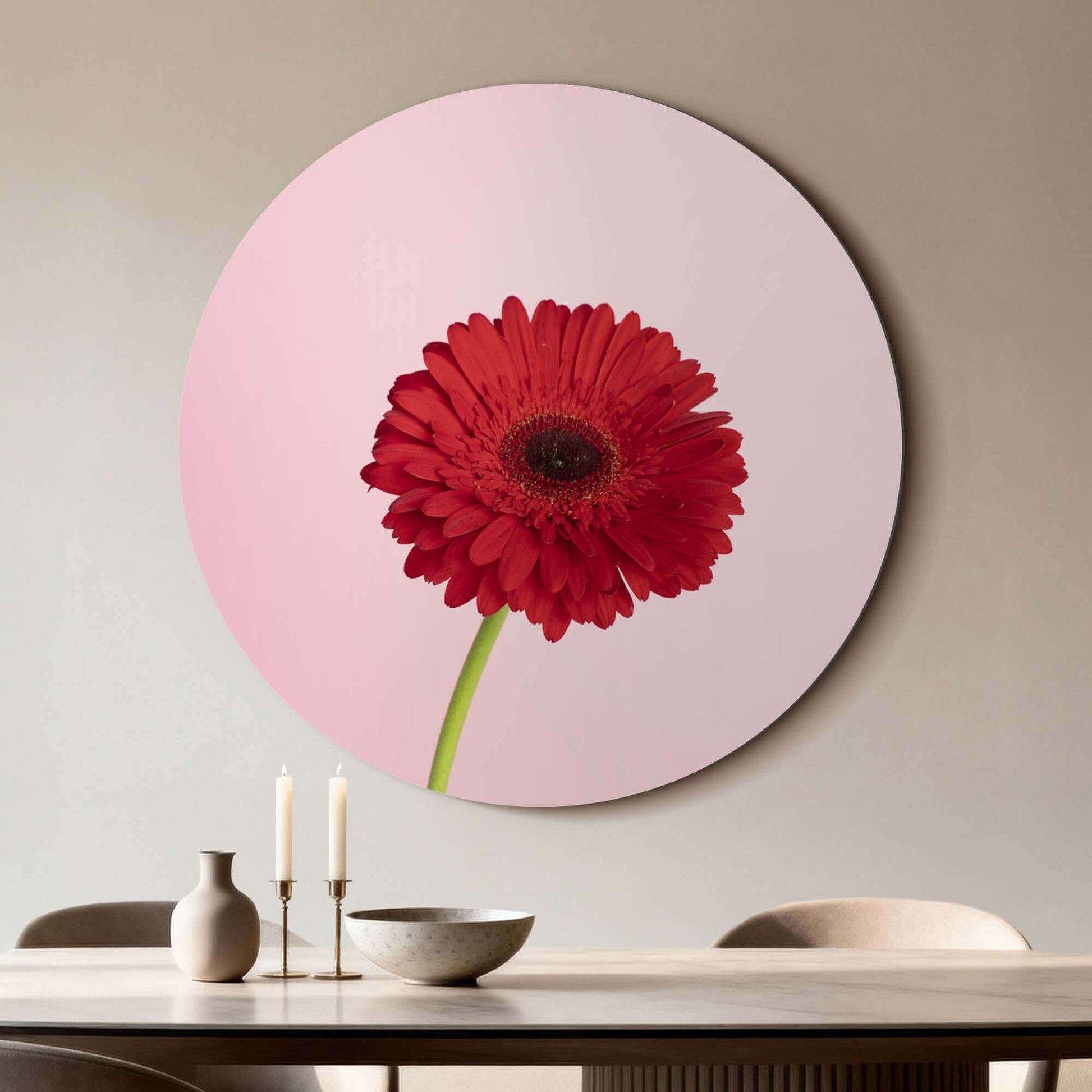 Rote Gerbera - Wandbild in leuchtendem Rot auf zartrosa Hintergrund, perfekt für die Wanddekoration.