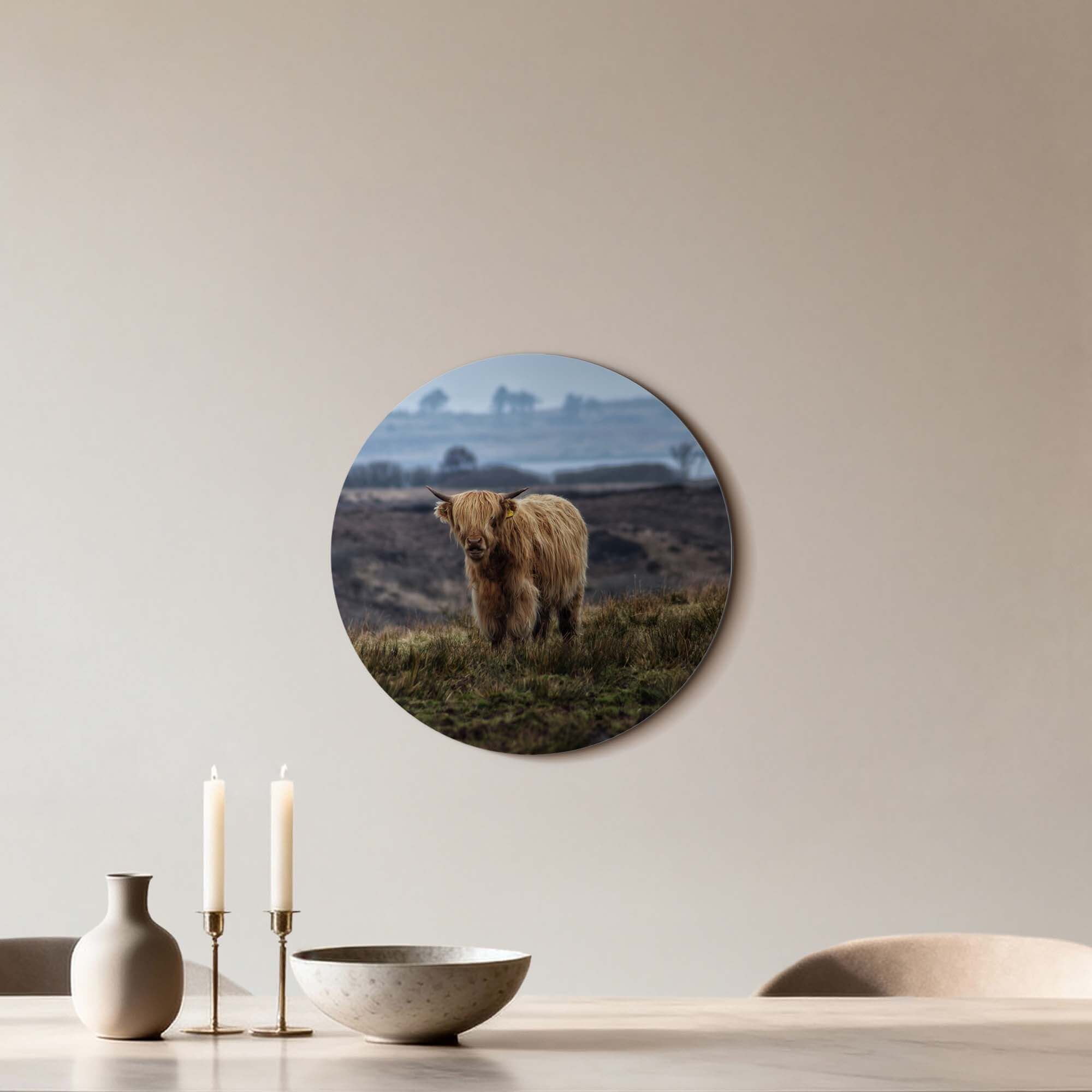 Schottischer Highlander auf dem Feld - Wandbild auf Aluminium, Natur Wanddekoration für Wohnzimmer, Küche, Esszimmer, Wandbild Design