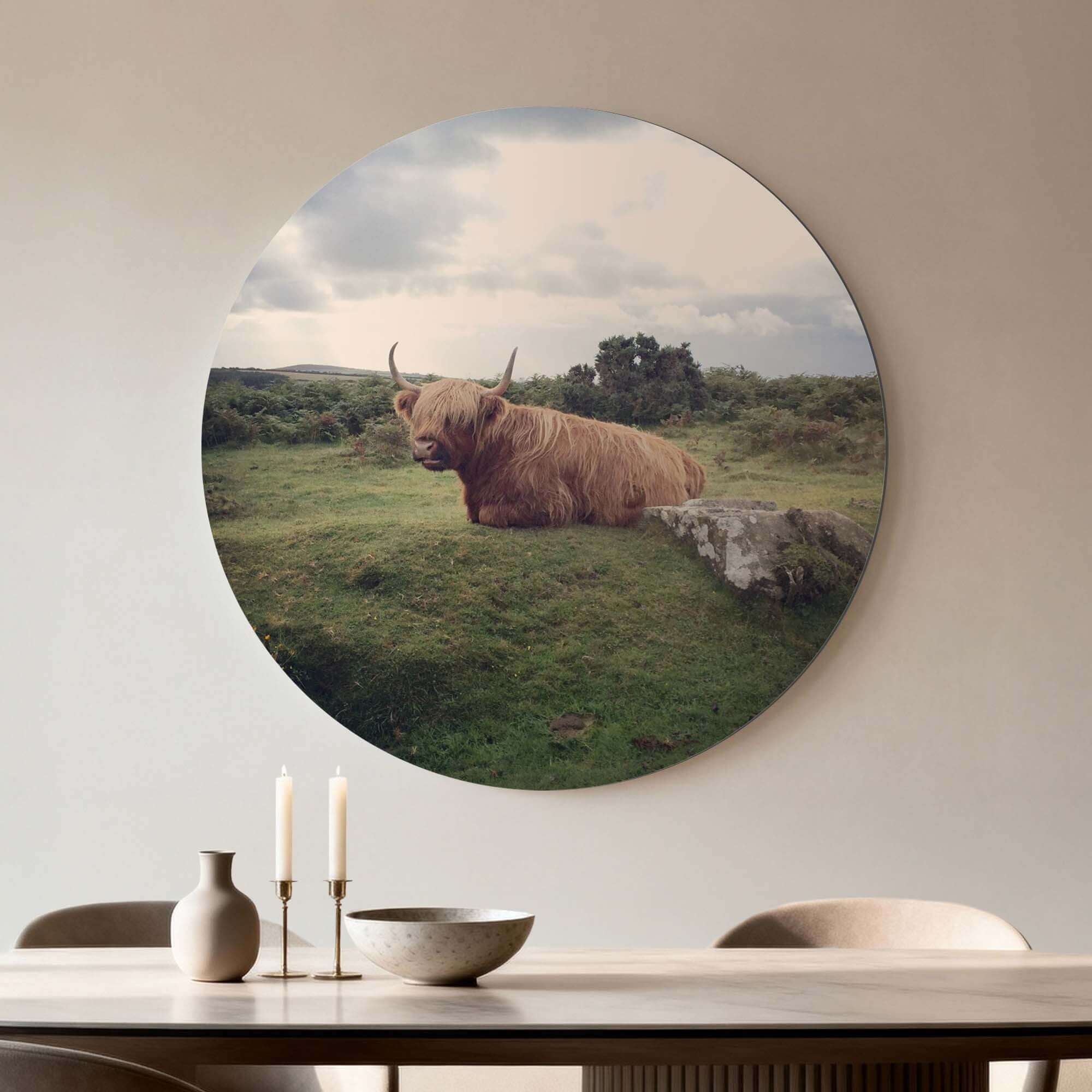 Gelassener Highlander in der Natur - Wandbild auf Aluminium-Dibond, Gelassener schottischer Highlander, Wanddekoration, Wandbilder