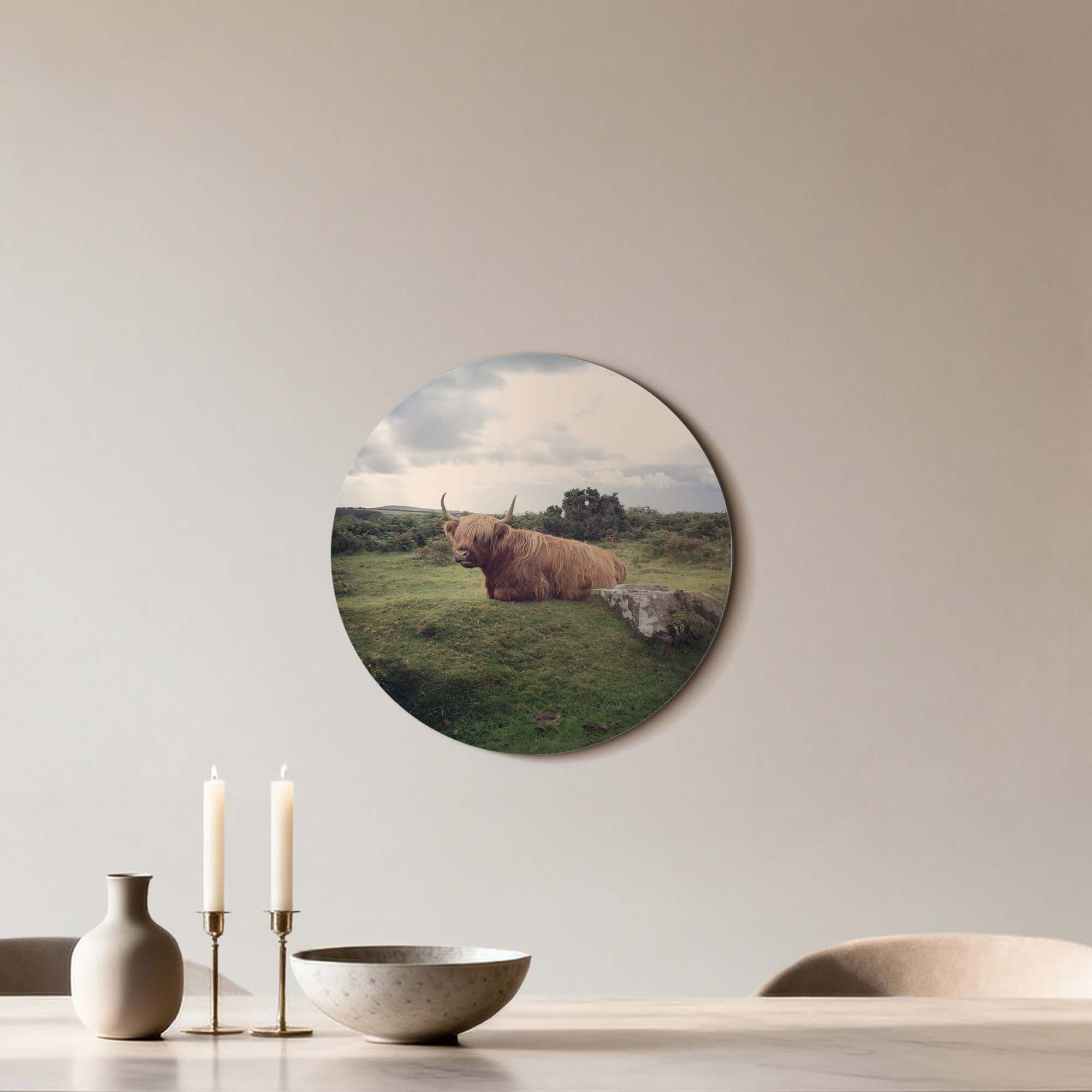 Calm Highlander in Nature - Wandbild mit schottischem Highlander im grünen Feld, stilvoller matter Druck auf Aluminium-Dibond.