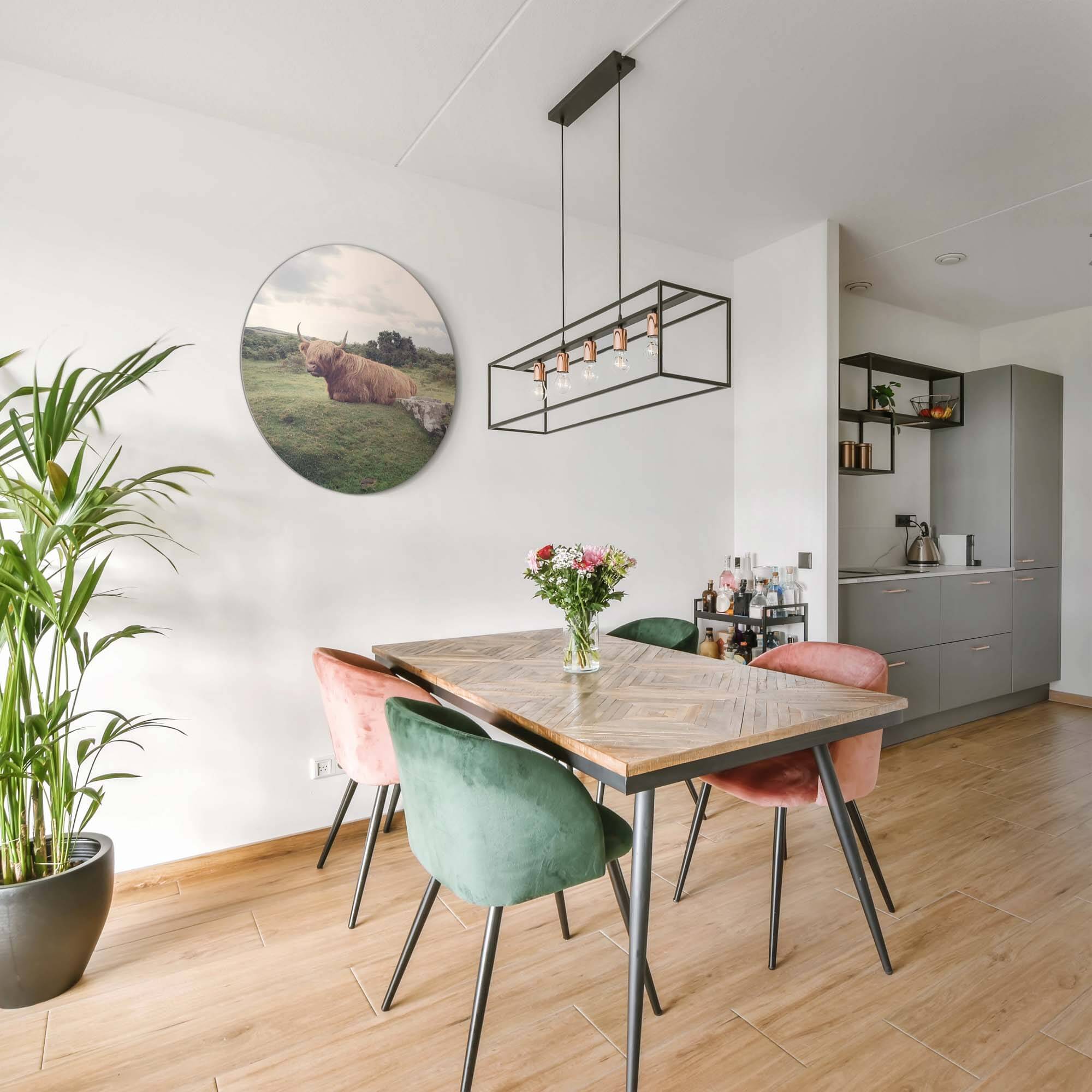 Ruhiger Highlander in der Natur - Wandbild, heiterer Wandbild mit schottischem Highlander im modernen Interieur, Wanddekoration