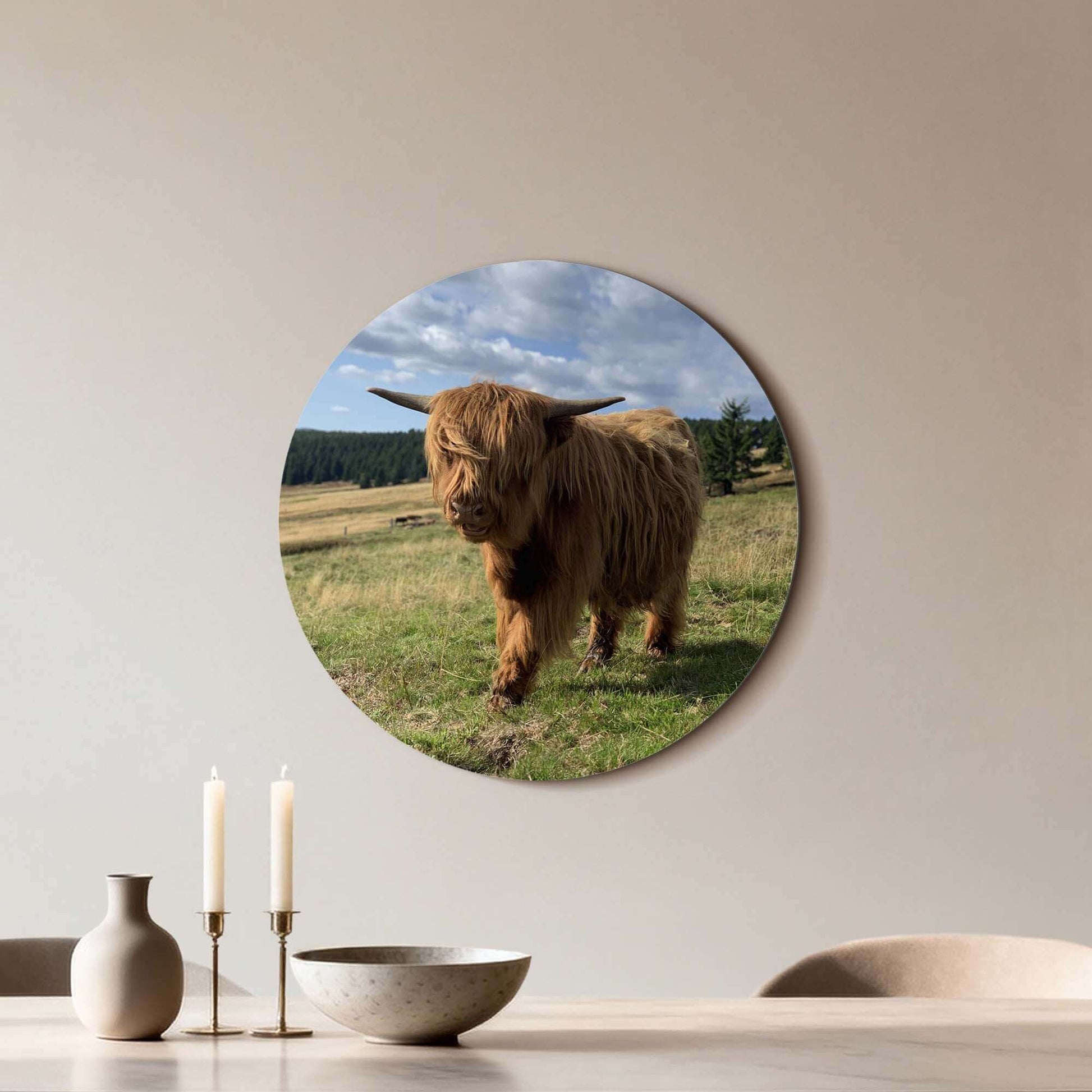 Highlander im Sonnenlicht - Wandbild mit schottischem Highlander in sonnenbeschienenem Feld, Wandbild für Küche oder Wohnzimmer.