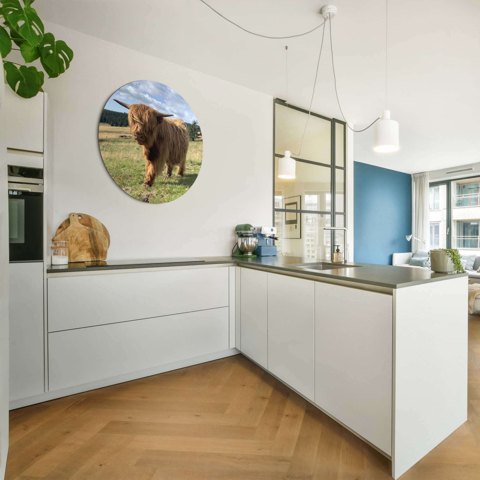 Highlander im Sonnenlicht - Wandbild, Wanddekoration mit schottischem Highlander in sonnenbeschienenem Feld, perfekt für Küche oder Esszimmer.