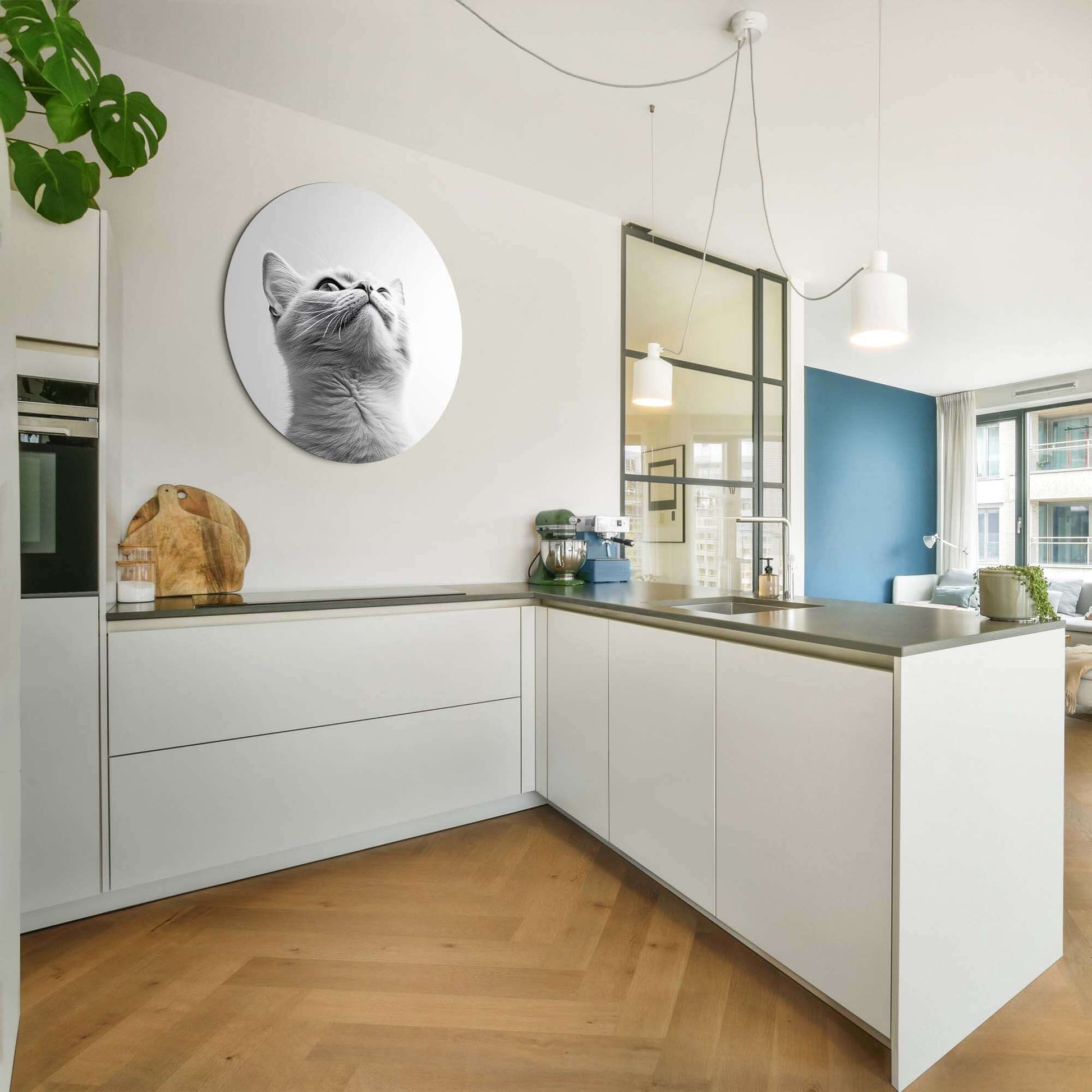Silver Whisker - Wandbild in moderner Küche mit grauer Katze auf hochwertigem Aluminium-Dibond.