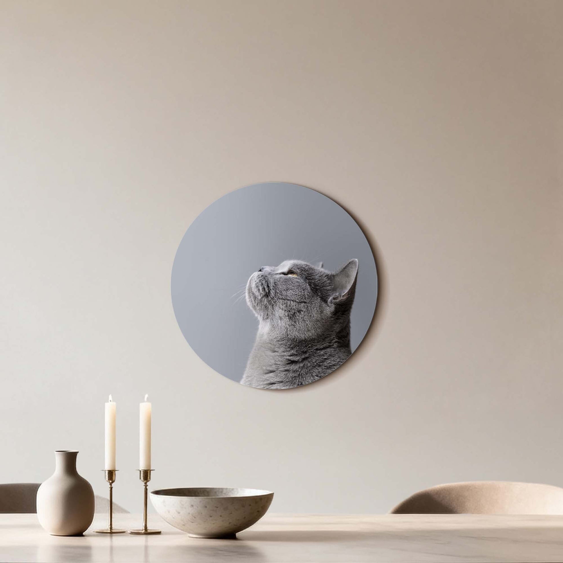 Soft Focus - Wandbild einer grauen Katze in sanften Grautönen an einer Wand, Wandbilder Dekoration.