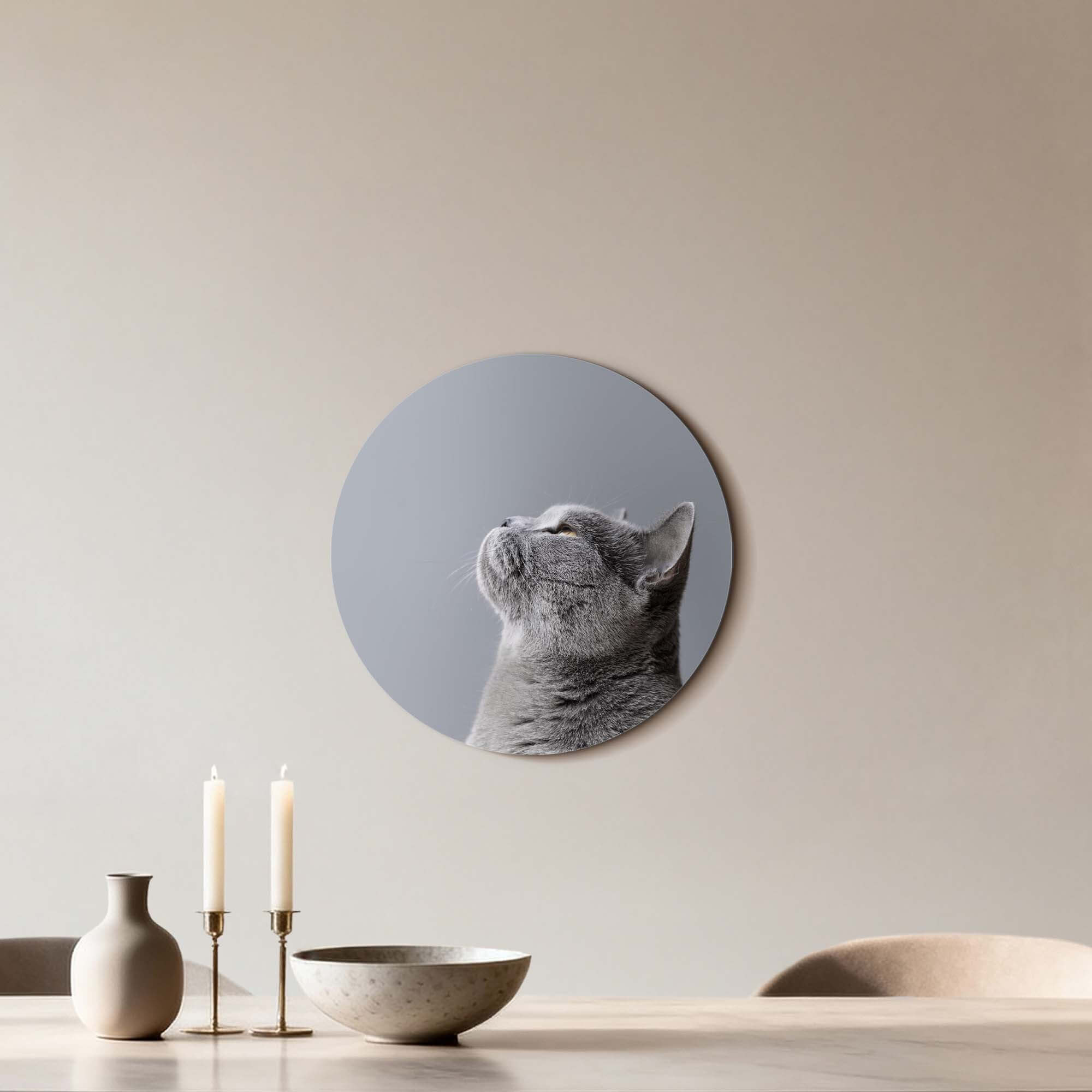 Soft Focus - Wandbild einer grauen Katze in sanften Grautönen an einer Wand, Wandbilder Dekoration.