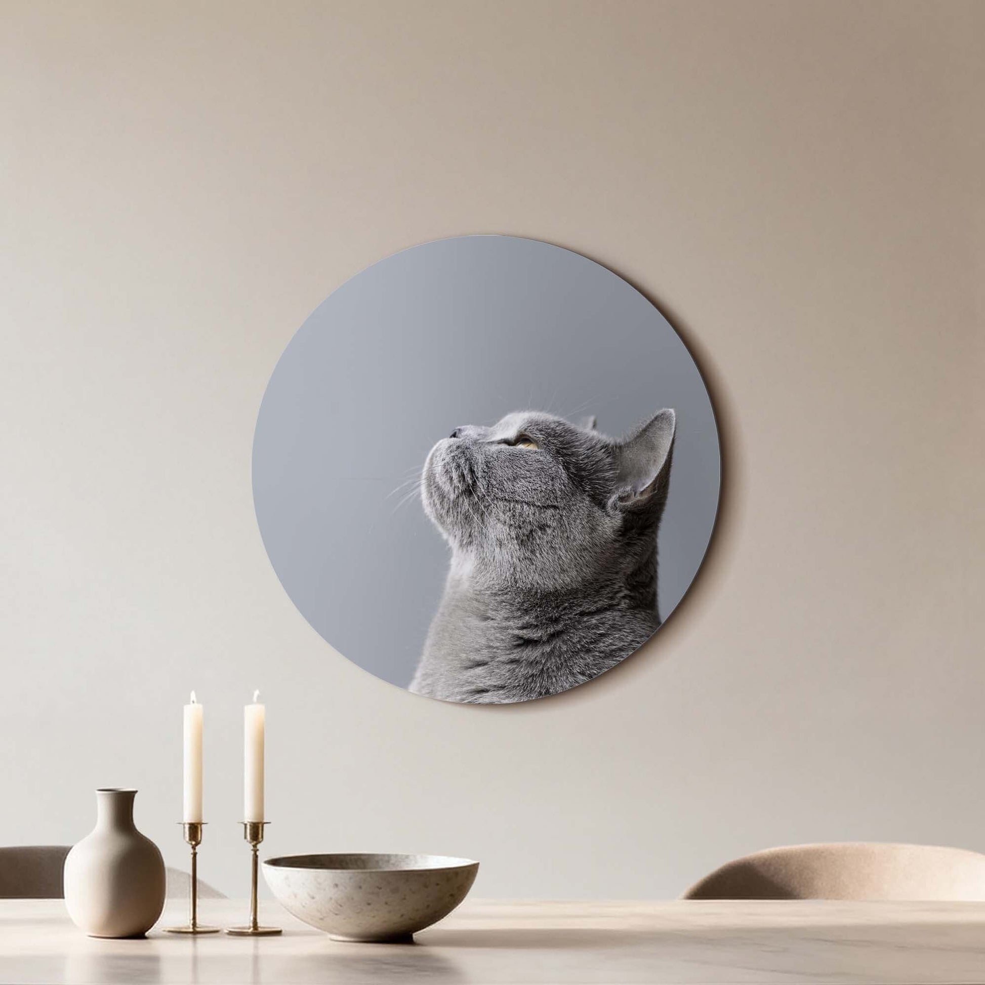 Soft Focus - Wandbild mit einer grauen Katze, elegantes Design, perfekt für subtile Wandbilder.
