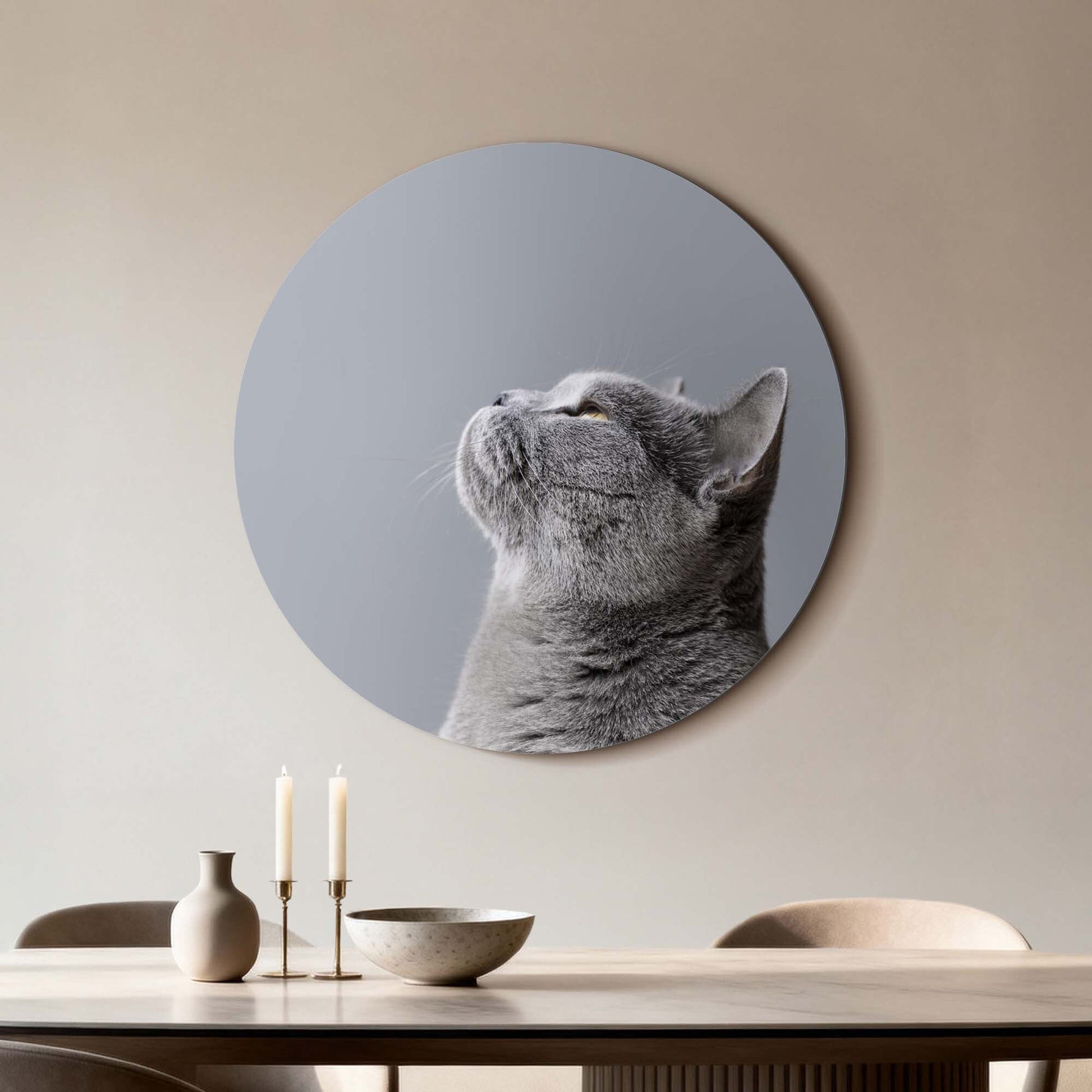 Soft Focus - Wandbild einer grauen Katze in dezenten Grautönen, perfekt für die moderne Innenarchitektur.