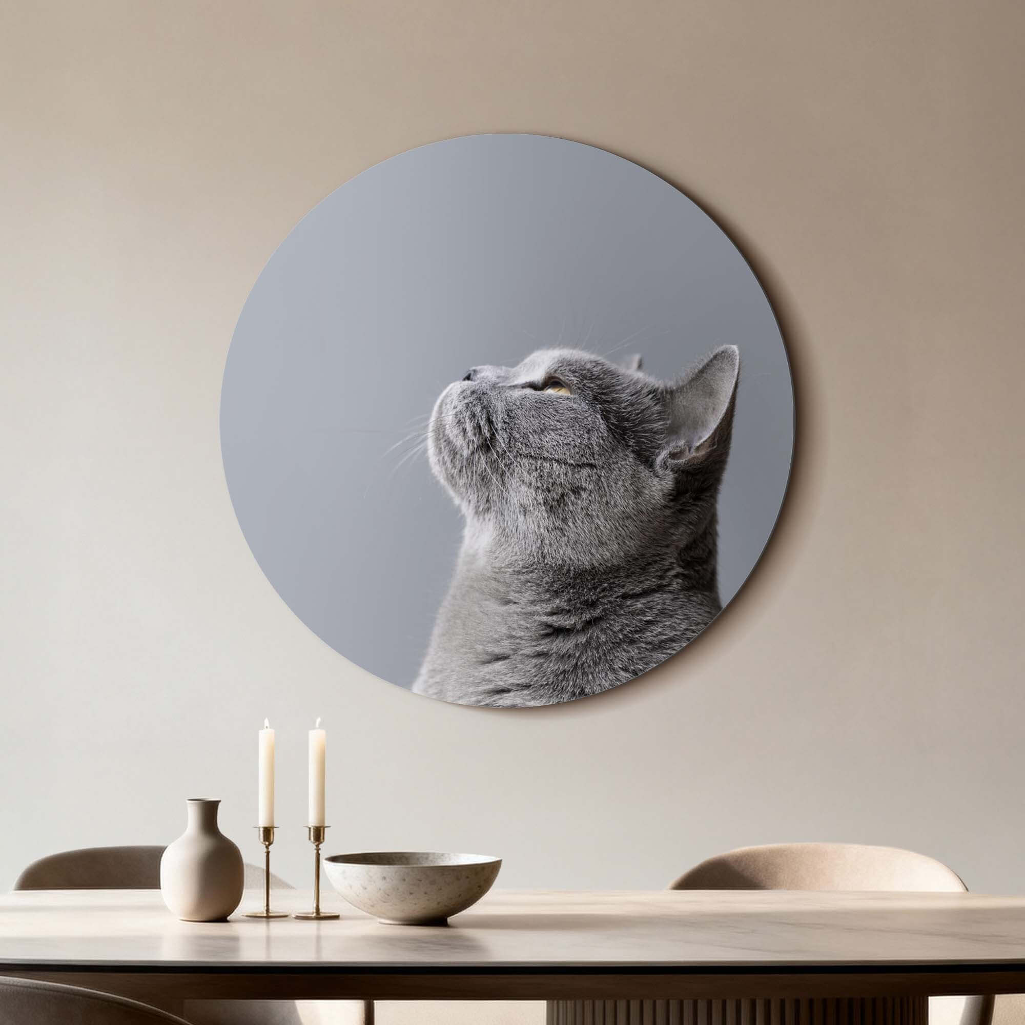 Soft Focus - Wandbild einer grauen Katze in dezenten Grautönen, perfekt für die moderne Innenarchitektur.