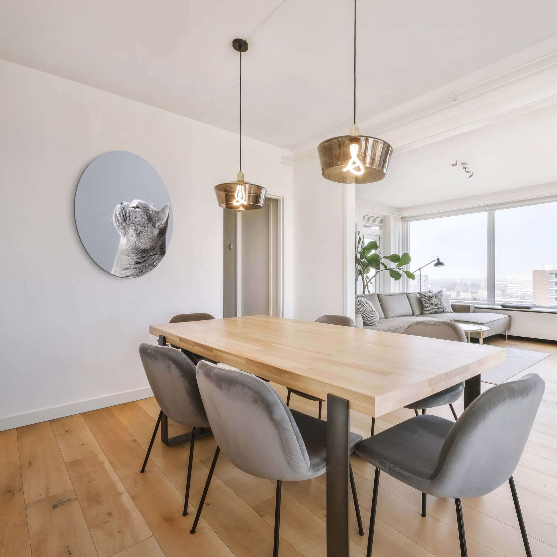 Interieur mit Soft Focus - Wall Circle, eine graue Katze, an der Wand über einem Esstisch aus Holz.