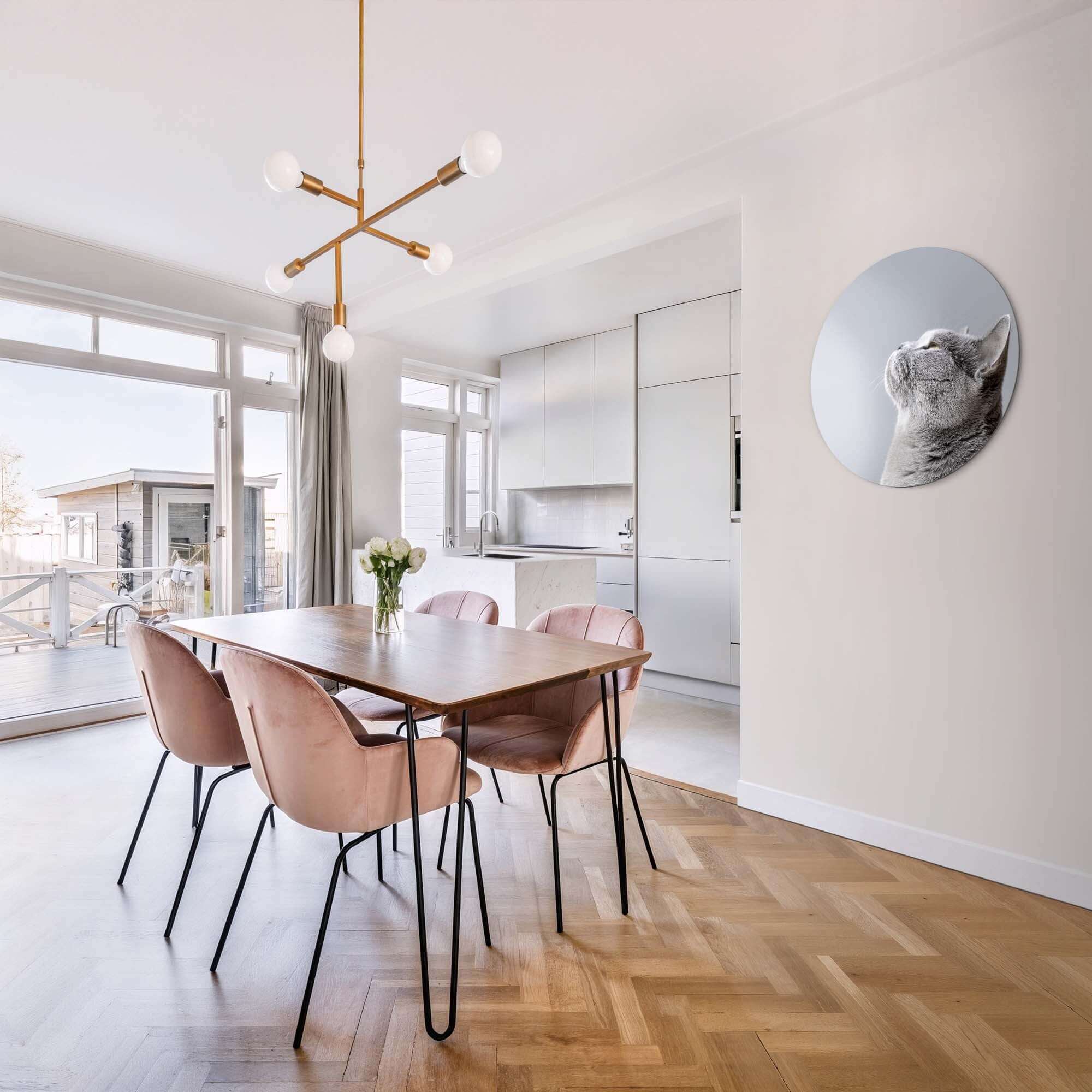 Soft Focus - Wandbild in einem trendigen Esszimmer mit einer grauen Katze auf einem runden Wandbild.