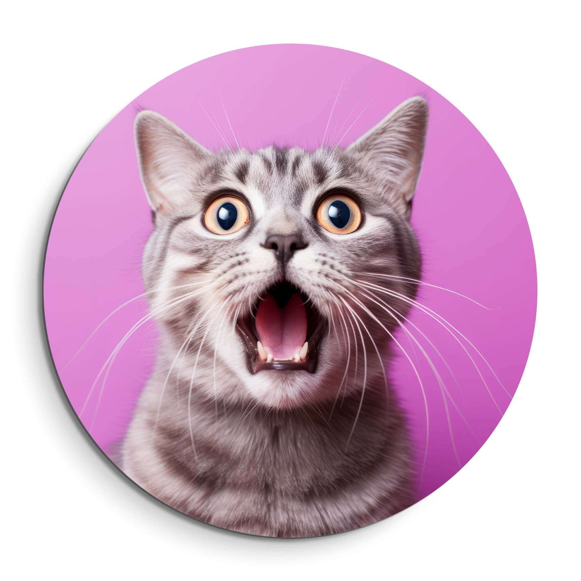 Surprised Whiskers - Wandbild mit einer überraschten Katze auf einem leuchtend rosa Hintergrund, perfekt für moderne Wandbilder.