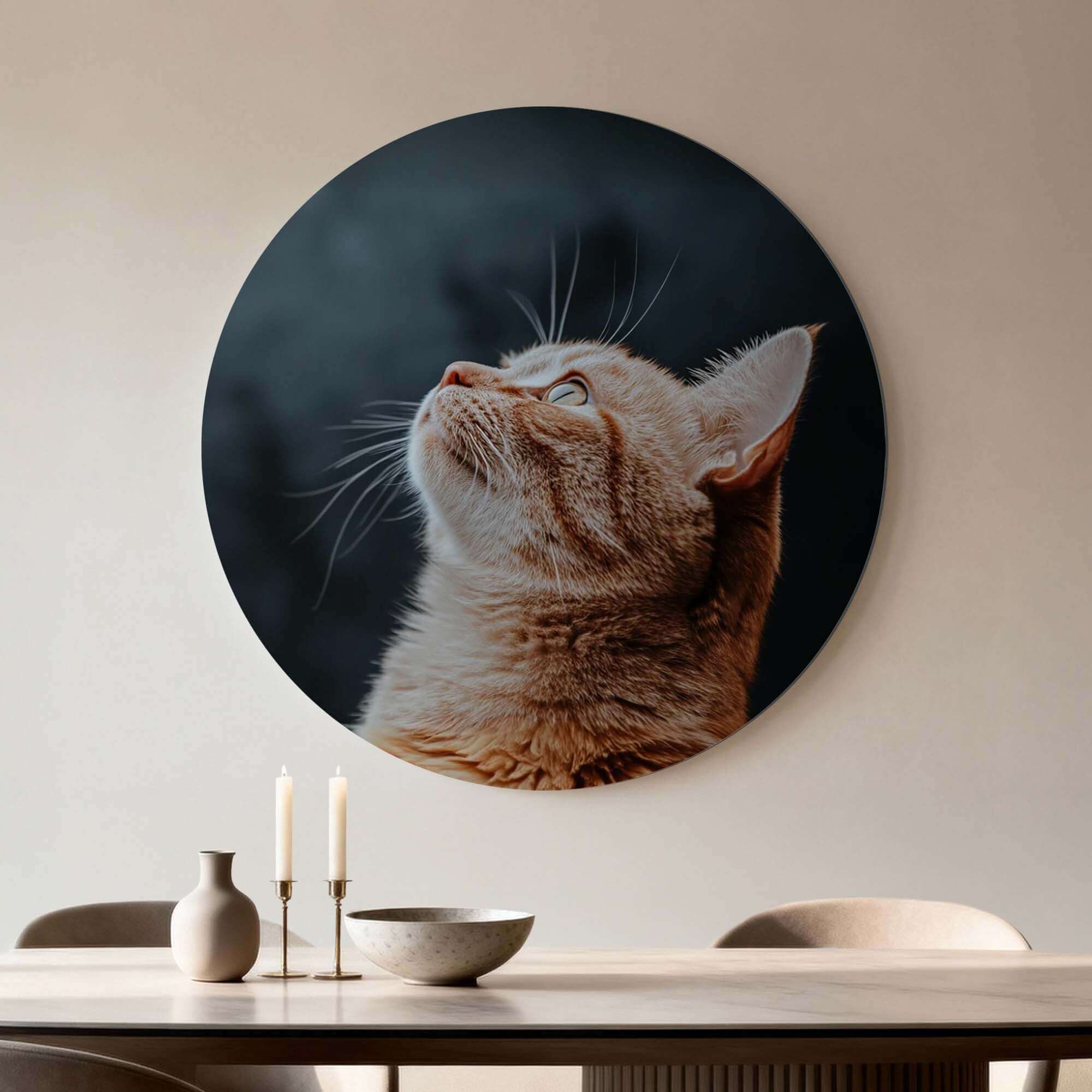 Velvet Gaze - Wandbild einer Katze auf Samthintergrund, Kunstwerk auf Aluminium-Dibond.