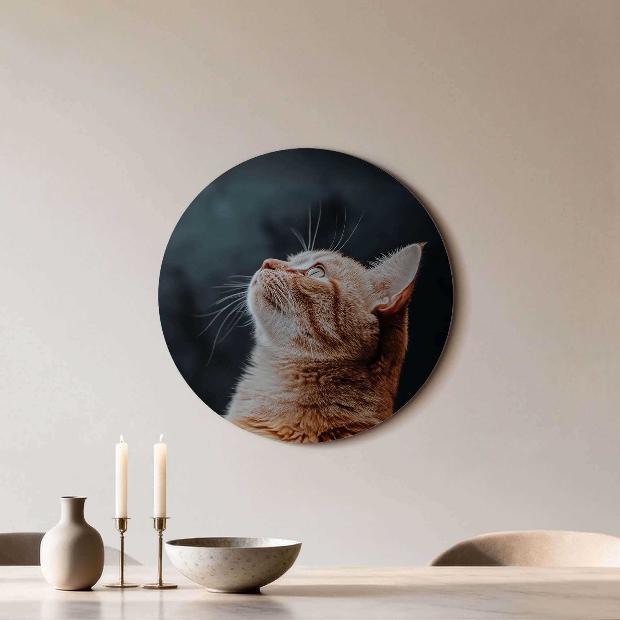 Velvet Gaze - Wandbild, eine Katze auf einem dunklen Hintergrund aus Samt, stilvoller Wandbild.