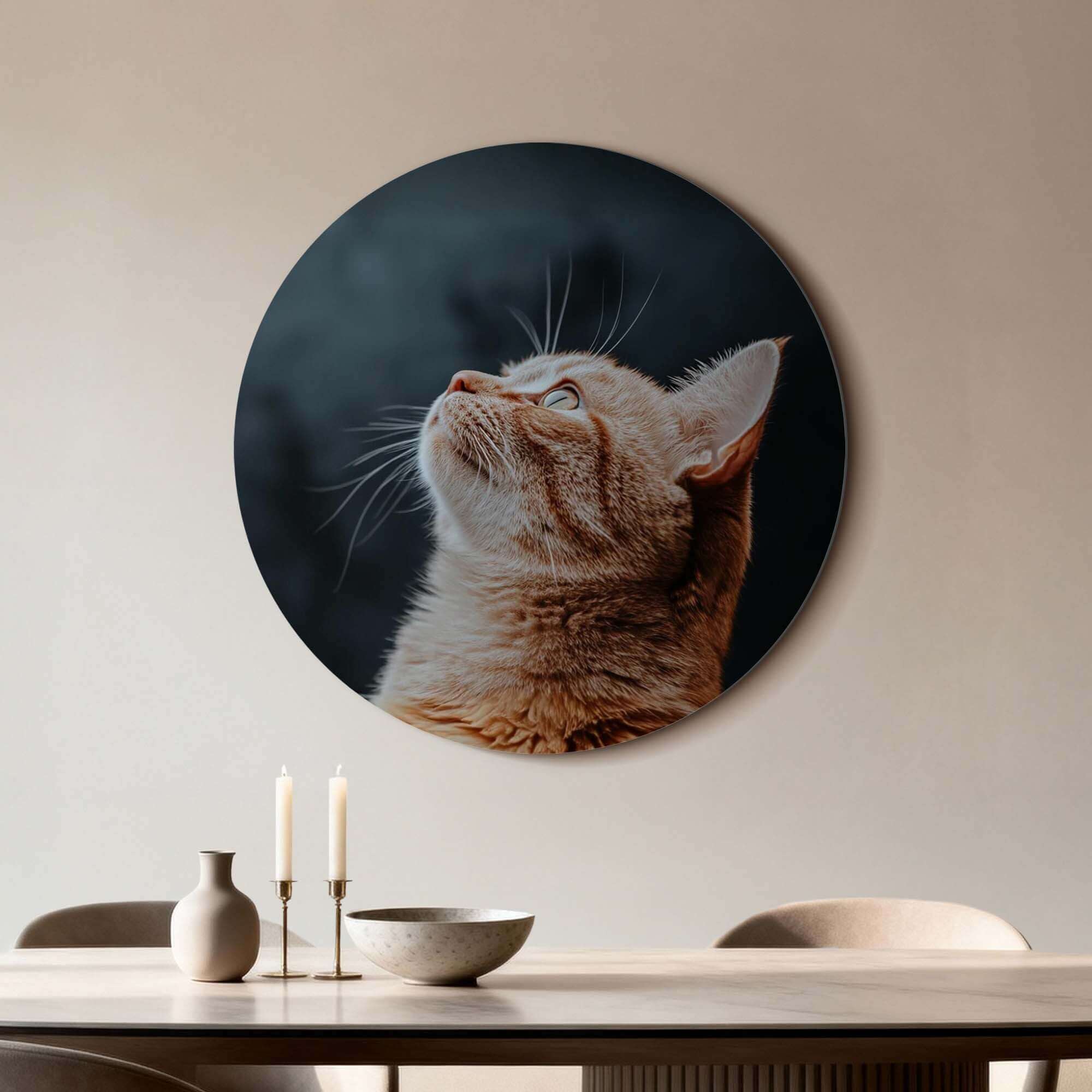 Velvet Gaze - Wandbild mit einer Katze auf einem samtenen Hintergrund, stilvoll und modern.