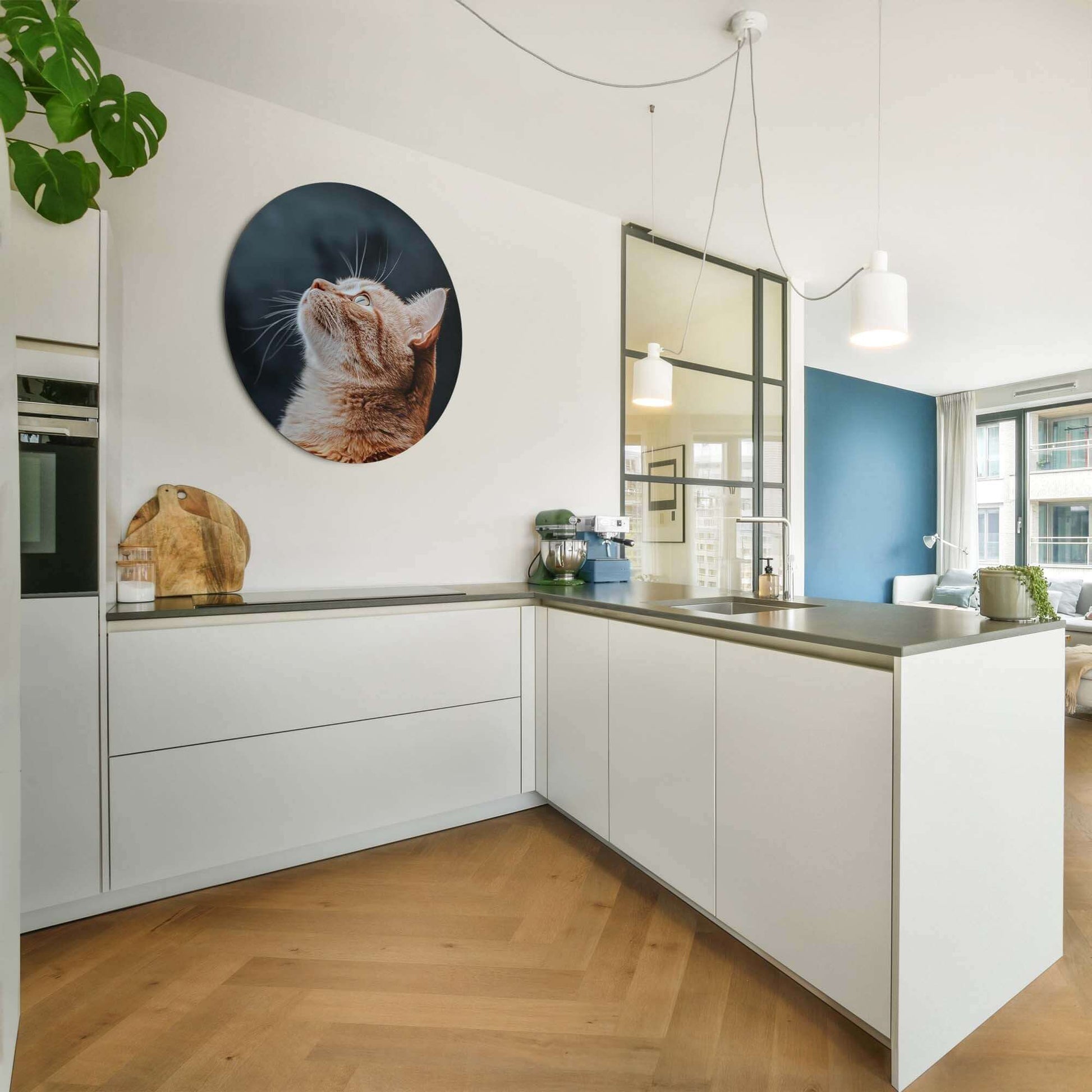 Elegantes Interieur mit Velvet Gaze - Wandbild, eine Katze auf einem samtenen Hintergrund.