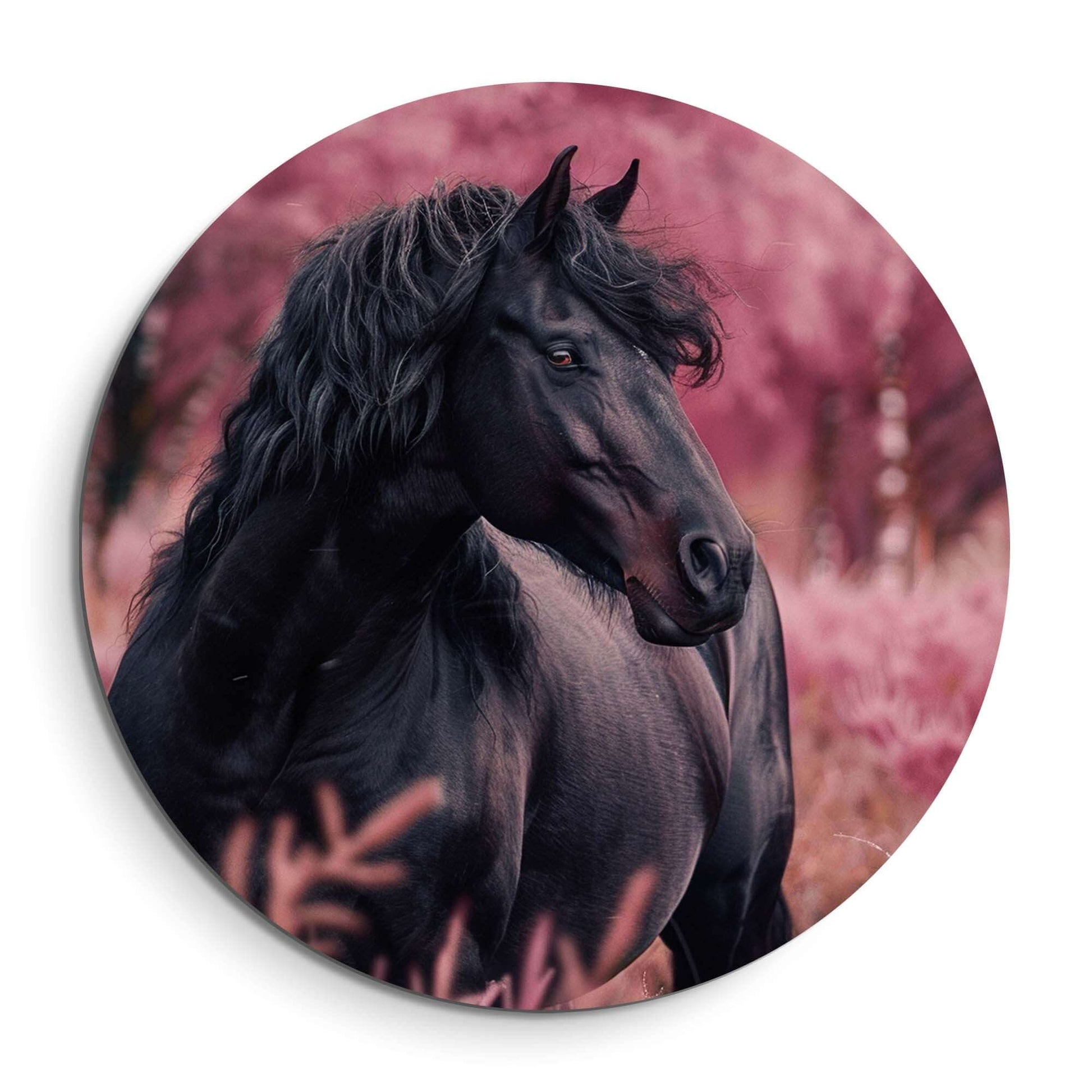 Velvet Spirit - Wandbild mit einem schwarzen Pferd in einer magischen rosa Landschaft, ein eleganter Wandbild.