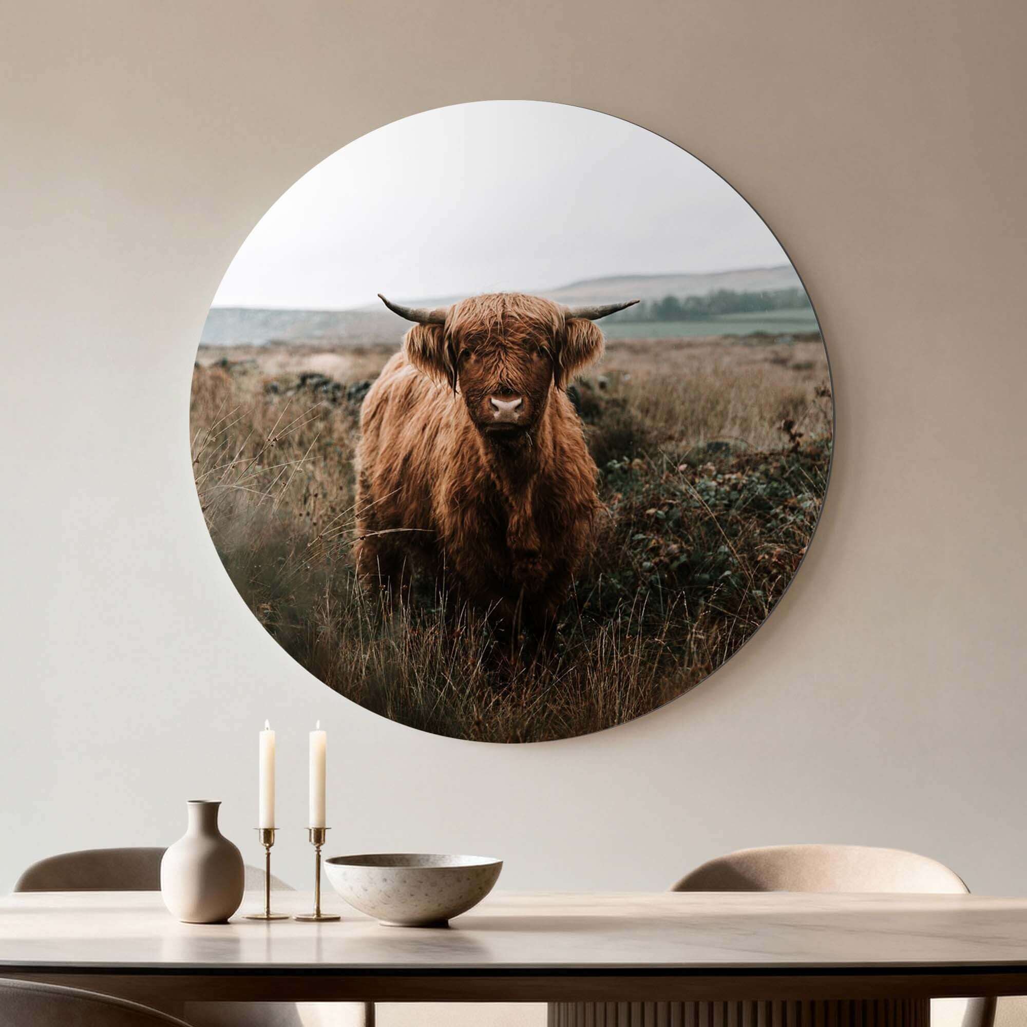 Highlander in autumn meadow - Wandbild an der Wand in einem stimmungsvollen Esszimmer.