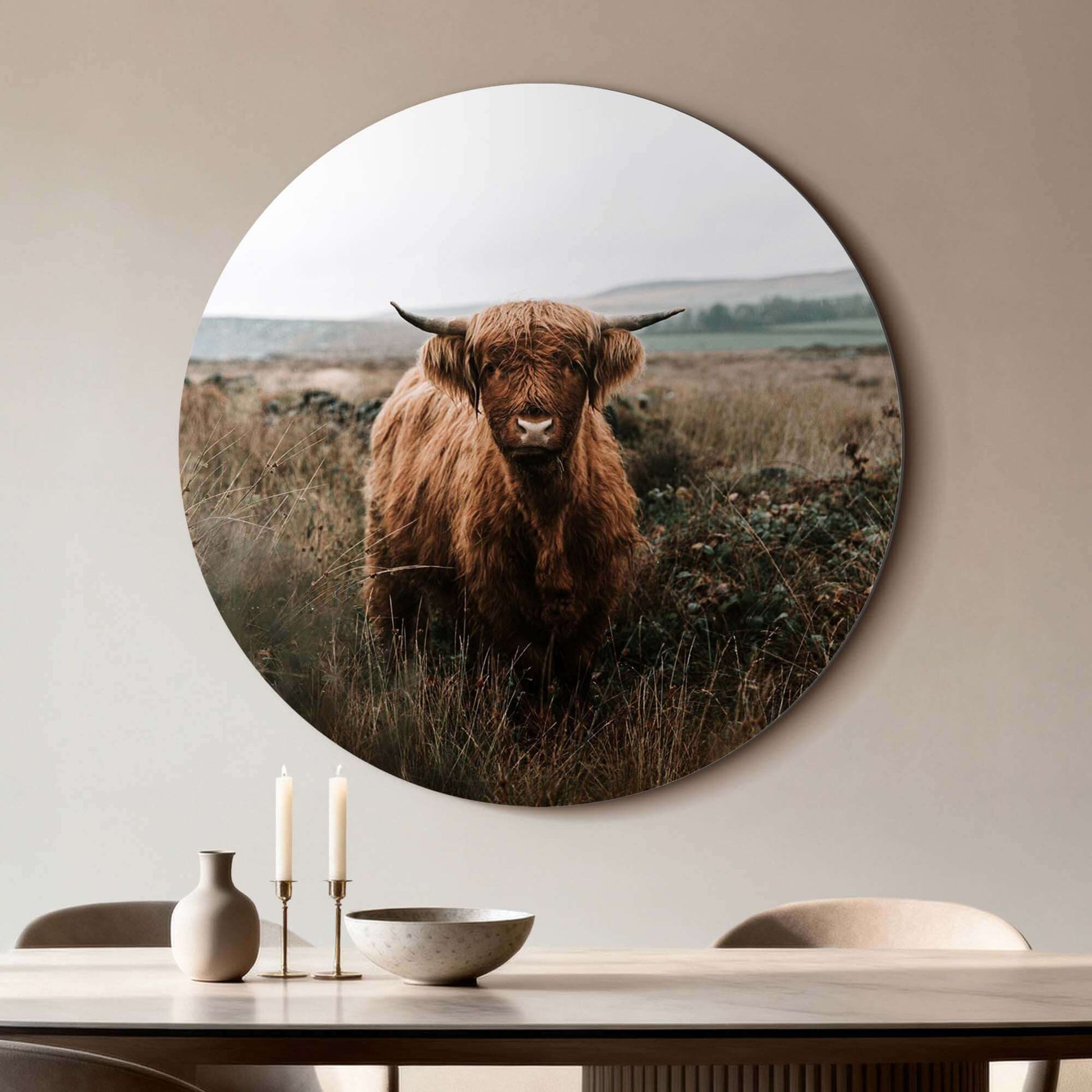 "Highlander in autumn meadow - Wall circle" mit schottischen Highlander in der Natur, geeignet für Küche oder Wohnzimmer, auf Aluminium-Dibond.