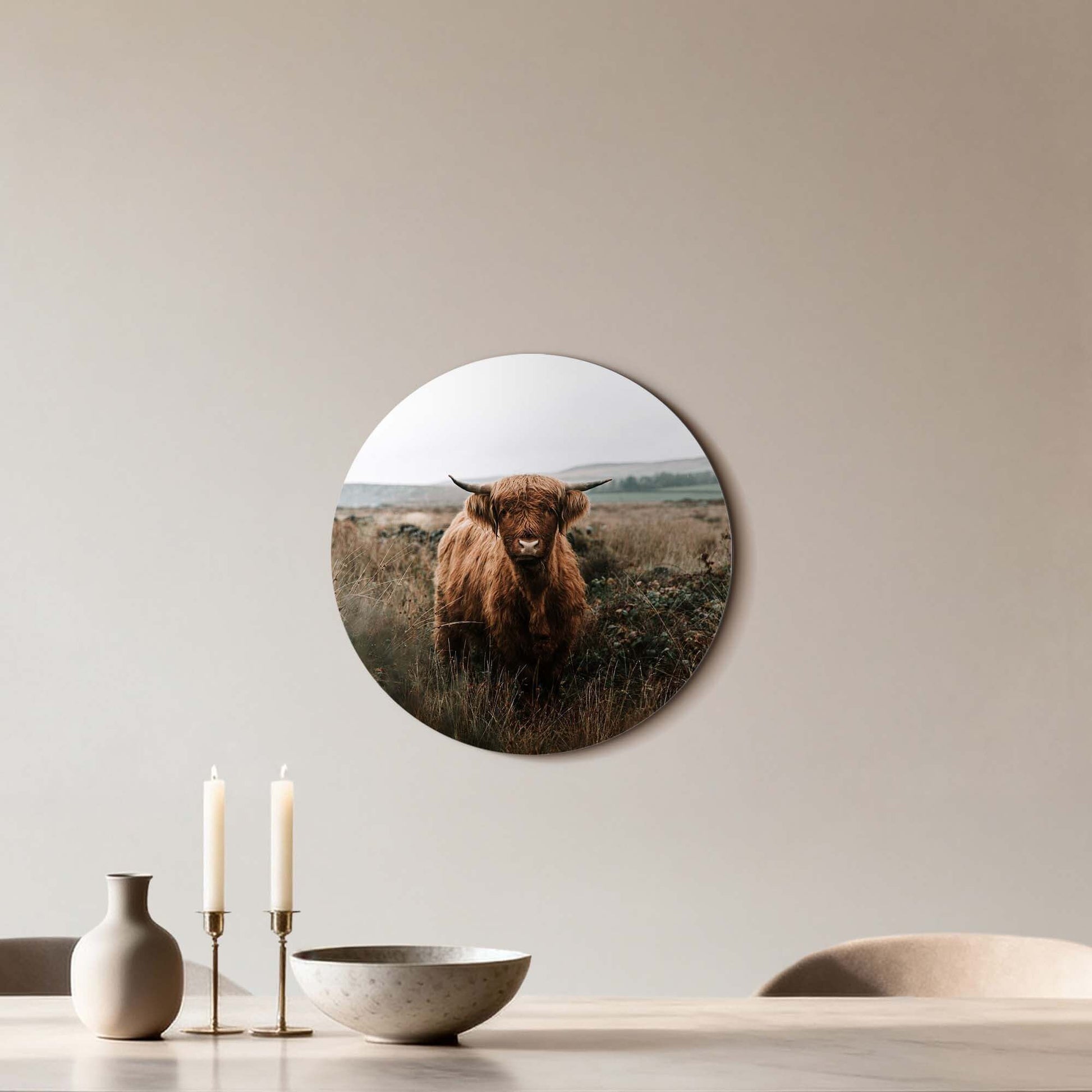 Highlander in autumn meadow - Wandbild mit schottischem Highlander, Wandbild aus 3 mm starkem Aluminium, stimmungsvoll für jeden Raum.