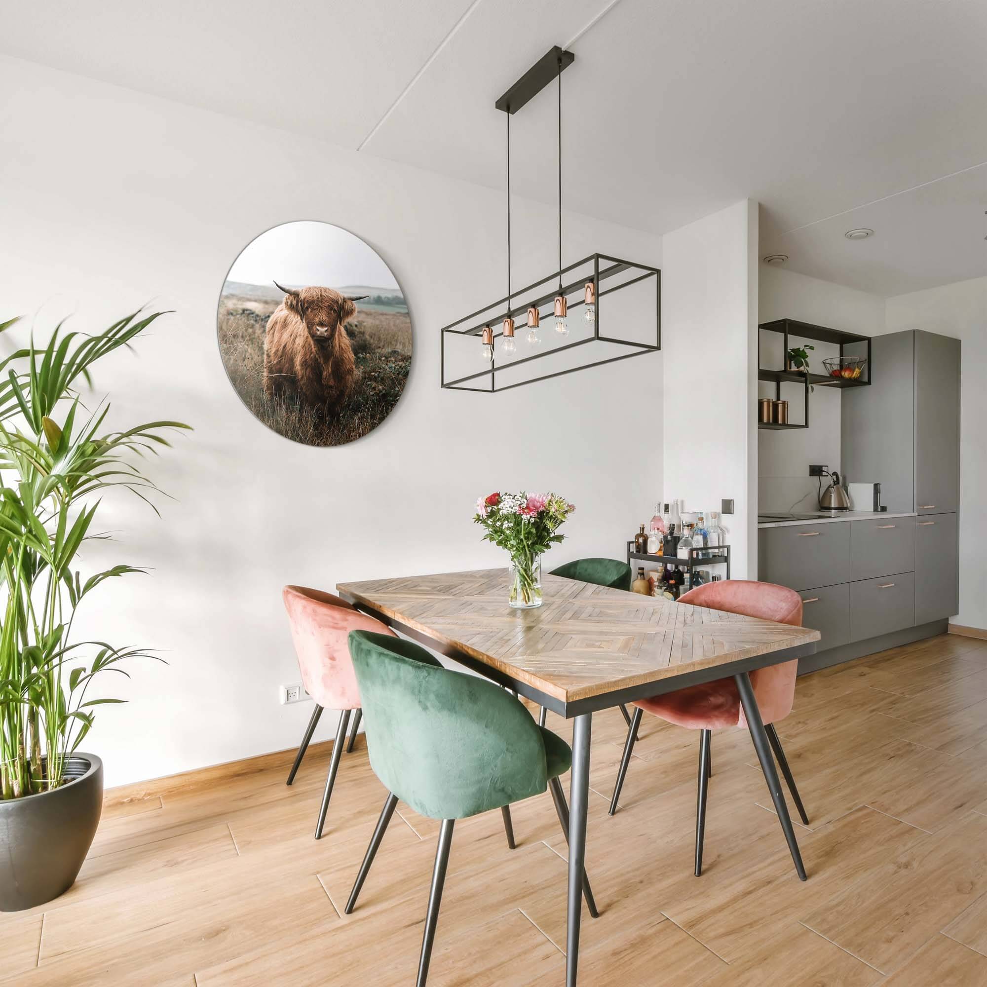 Highlander in autumn meadow - Wandbild an der Wand in einem modernen Esszimmer mit Pflanzen.
