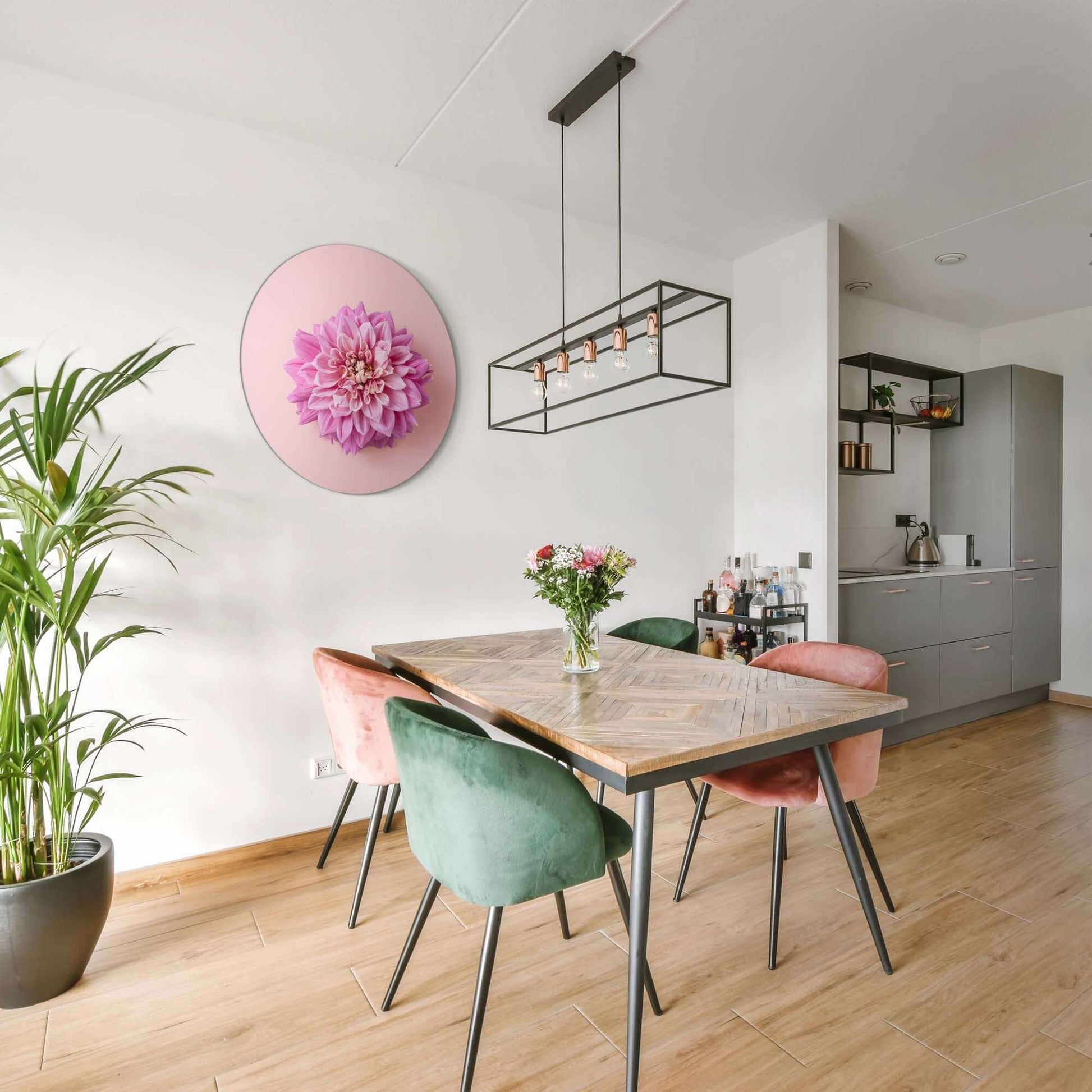 Soft Dahlia - Wandbild an der Wand in einem Esszimmer mit einem modernen Tisch und bunten Stühlen.